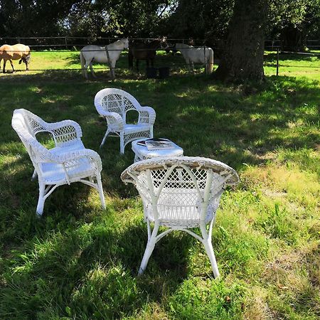 La Marquise Penchee Bed & Breakfast Orsennes Екстериор снимка